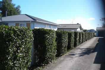 1/10A Dominion Road, Nawton