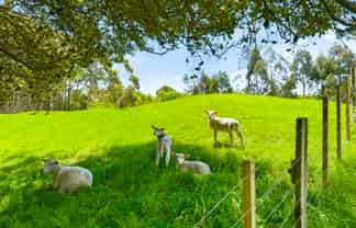 340D Ngarara Road, Waikanae