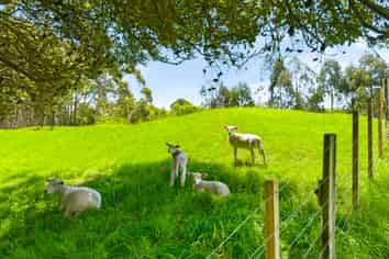 340D Ngarara Road, Waikanae