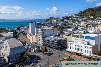 1A/10 Alpha Street, Te Aro