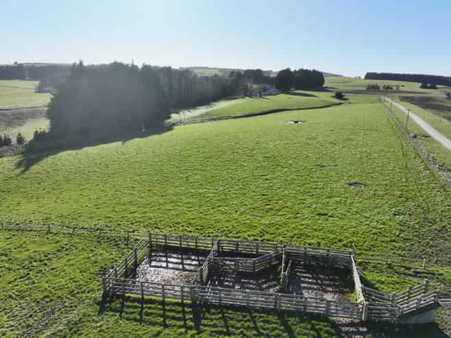 75 + 100 Crighton Road, Waimahaka