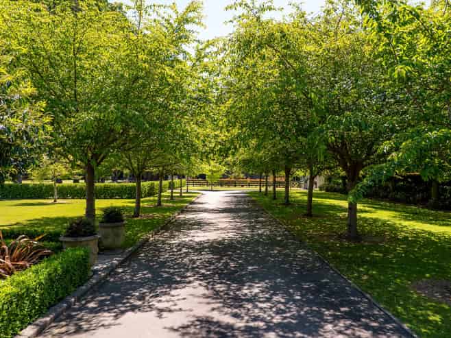 7 Westall Lane, Avonhead