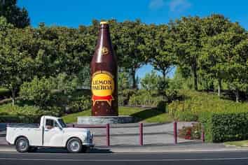 4 Oranmore Crescent, Paeroa