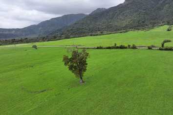 2115 Whataroa Highway, Whataroa