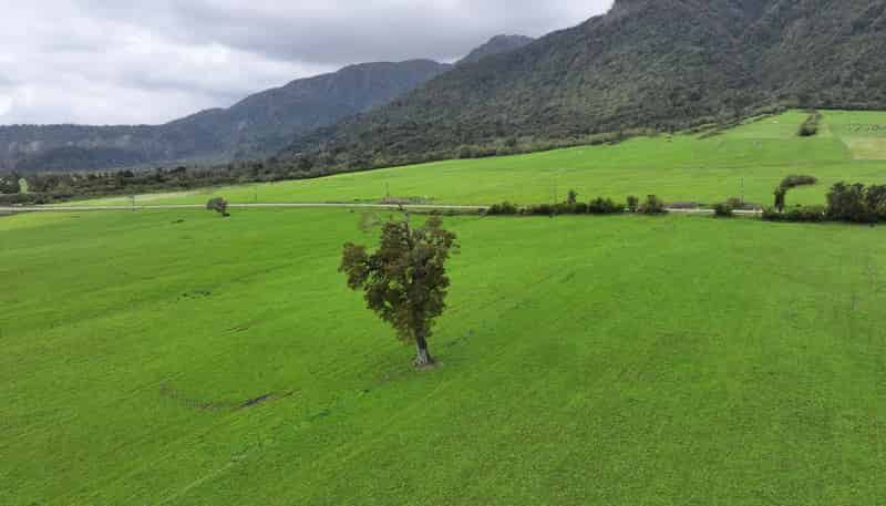 2115 Whataroa Highway, Whataroa