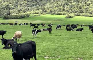 2115 Whataroa Highway, Whataroa