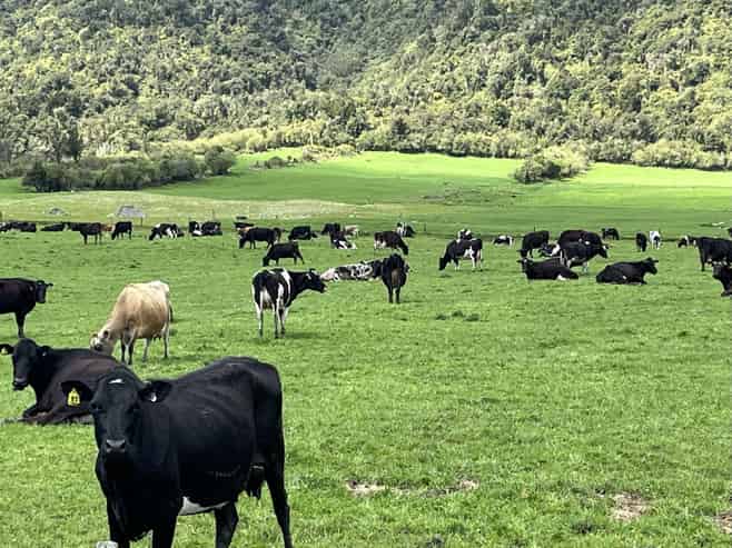 2115 Whataroa Highway, Whataroa