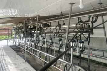 2115 Whataroa Highway, Whataroa