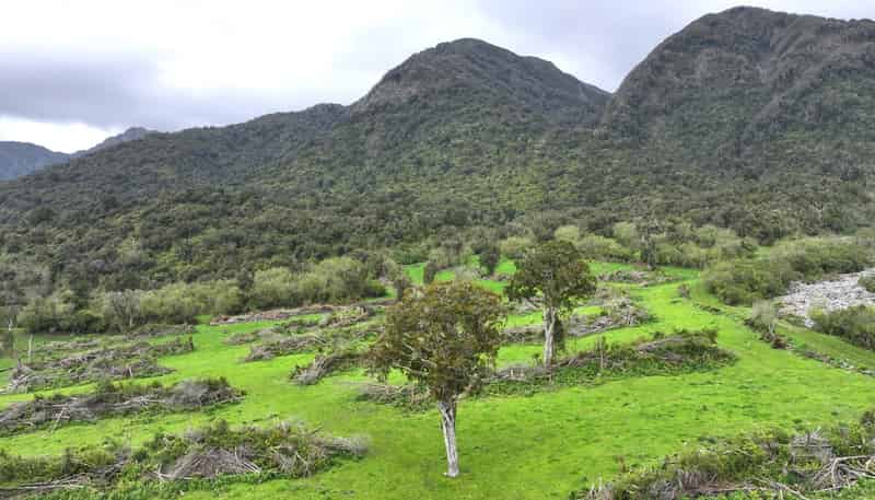 2115 Whataroa Highway, Whataroa