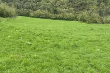 2115 Whataroa Highway, Whataroa