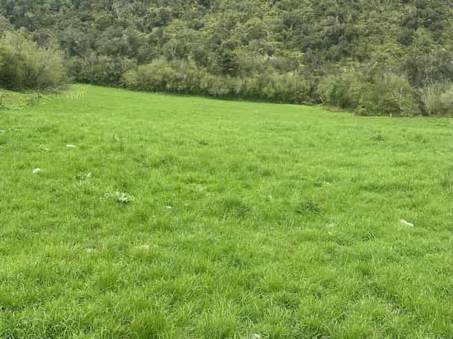 2115 Whataroa Highway, Whataroa