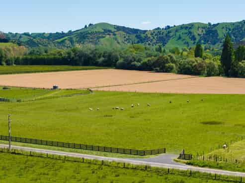 Lot 2, DP 578365, Poynter Road, Te Karaka