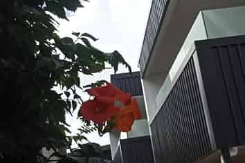 31 Seddon Road, Frankton