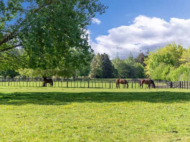 197 Papakura-Clevedon Road, Clevedon