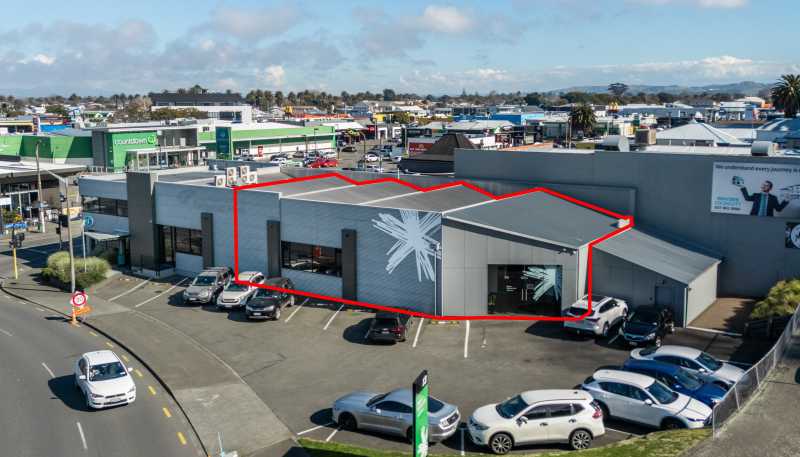 13 Carlyle Street, Napier South