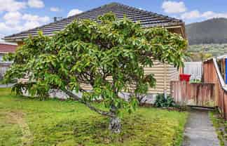 36 McLeod Street, Elderslea