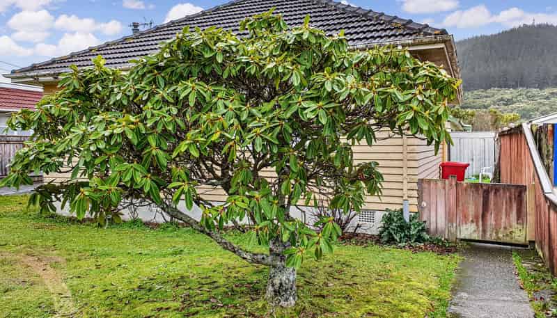 36 McLeod Street, Elderslea