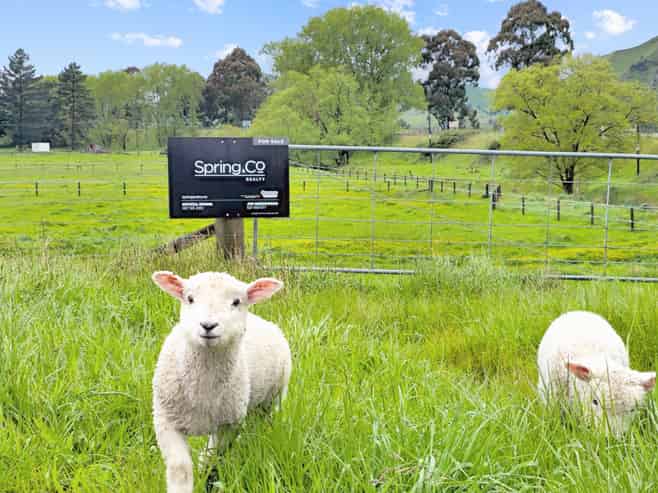 28 Kakariki Street, Mangaweka