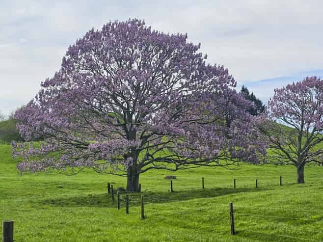 441 State Highway 38, Rerewhakaaitu