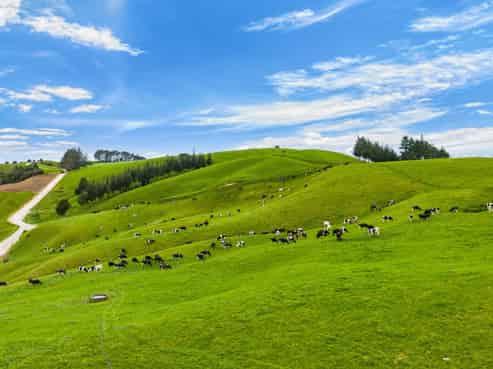 901 Pukehuia Road, Tangiteroria