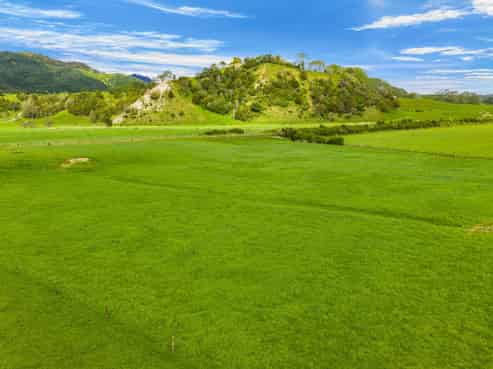  Omana Road, Tangiteroria