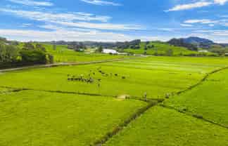  Omana Road, Tangiteroria