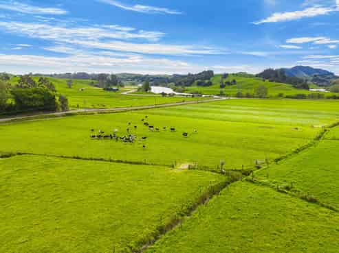  Omana Road, Tangiteroria