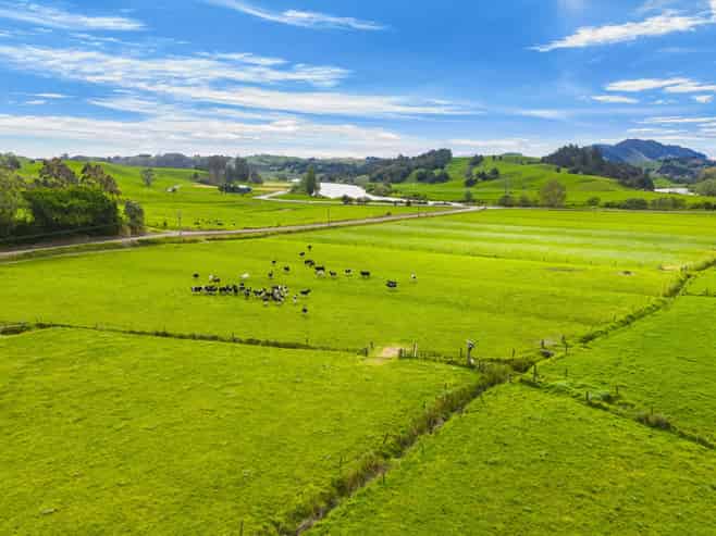  Omana Road, Tangiteroria