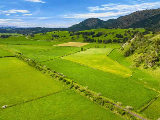  Omana Road, Tangiteroria