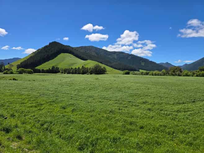 110 Tunakino Valley Road, Rai Valley