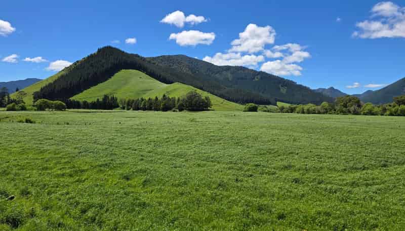 110 Tunakino Valley Road, Rai Valley