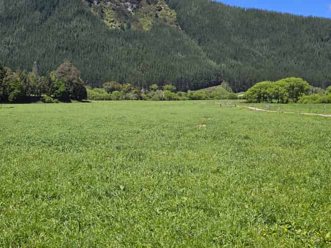 110 Tunakino Valley Road, Rai Valley