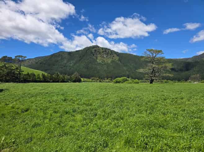 110 Tunakino Valley Road, Rai Valley