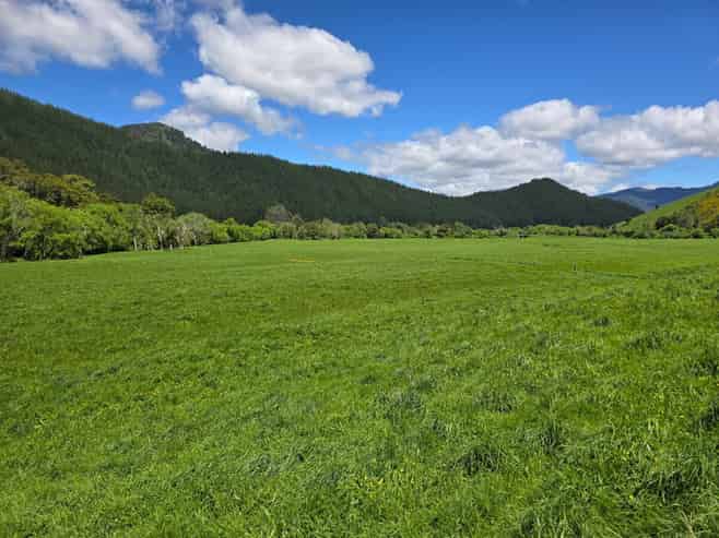 110 Tunakino Valley Road, Rai Valley