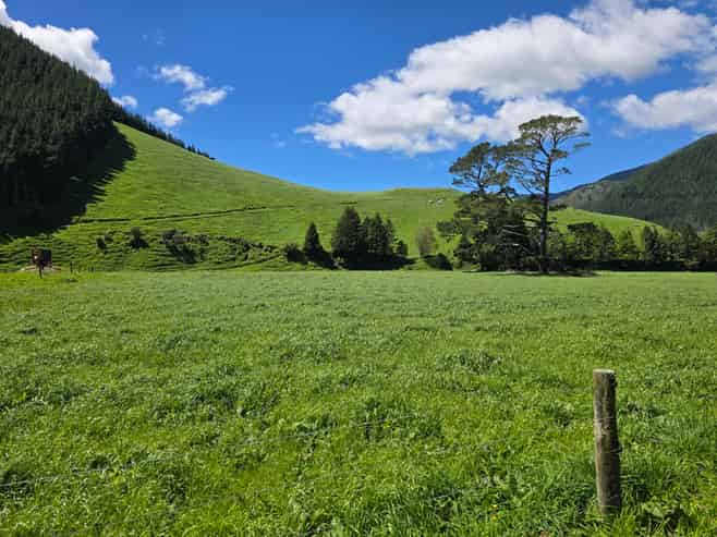 110 Tunakino Valley Road, Rai Valley