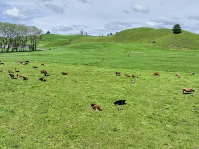 62 Rehi Road, Ngakuru