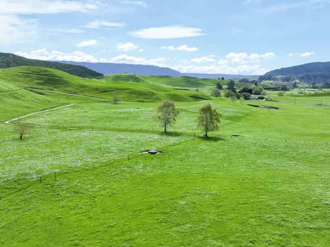 62 Rehi Road, Ngakuru