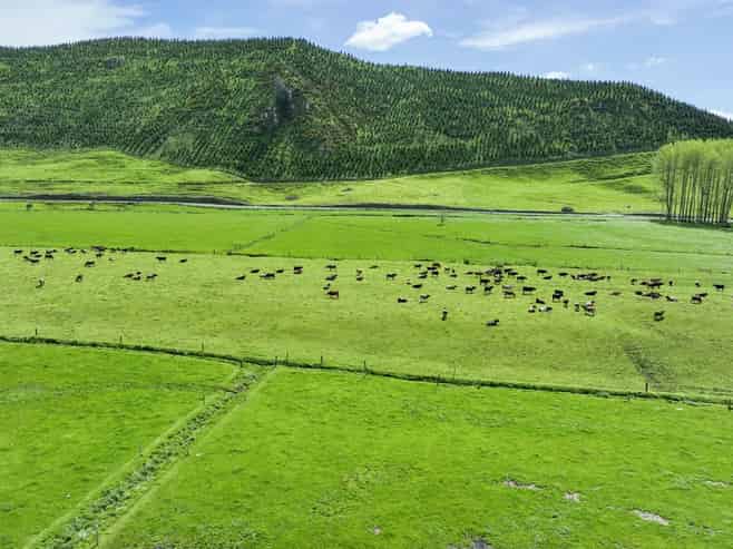 62 Rehi Road, Ngakuru