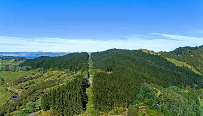  Riverside Road, Matokitoki