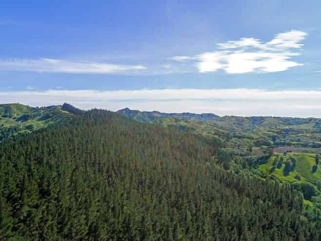  Riverside Road, Matokitoki