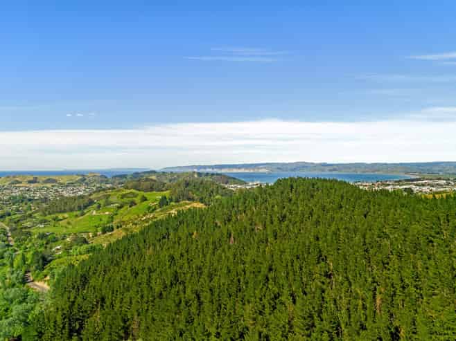  Riverside Road, Matokitoki