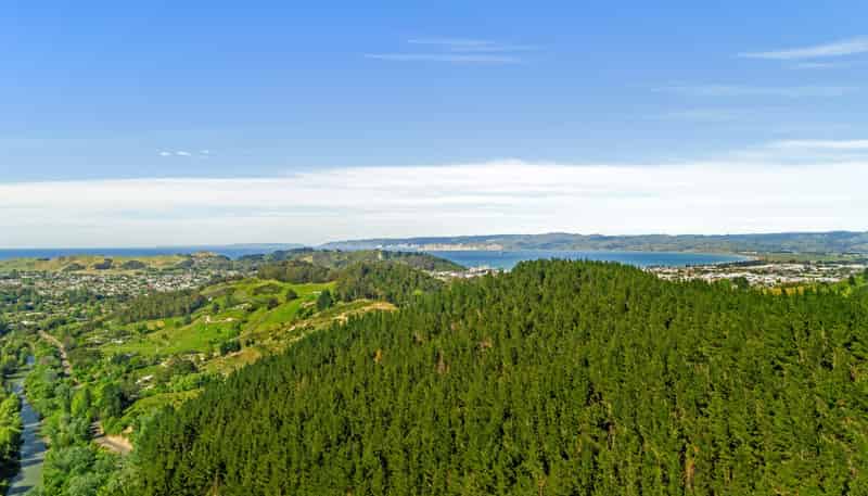  Riverside Road, Matokitoki