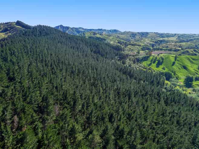  Riverside Road, Matokitoki