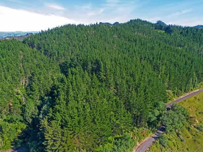  Riverside Road, Matokitoki