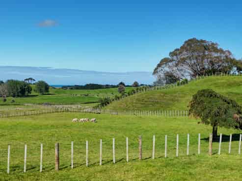 229 and 22 Tayforth Road, Westmere