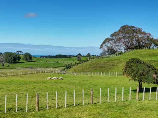 229 and 22 Tayforth Road, Westmere