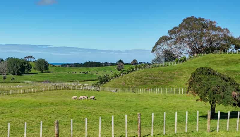 229 Tayforth Road, Westmere