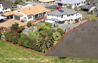 44 Diamond Head, Hairini