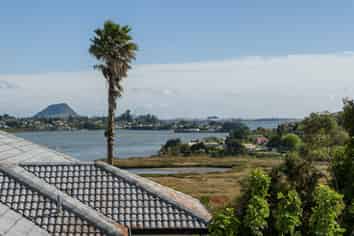 44 Diamond Head, Hairini