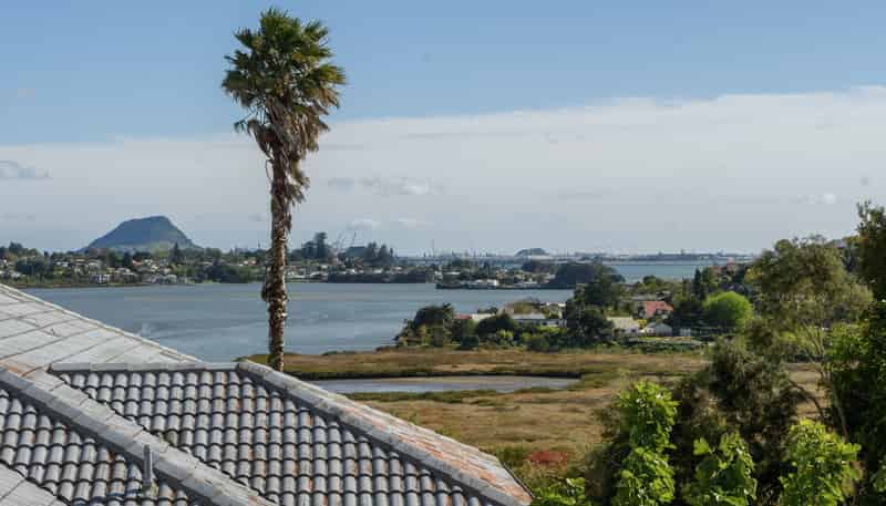 44 Diamond Head, Hairini